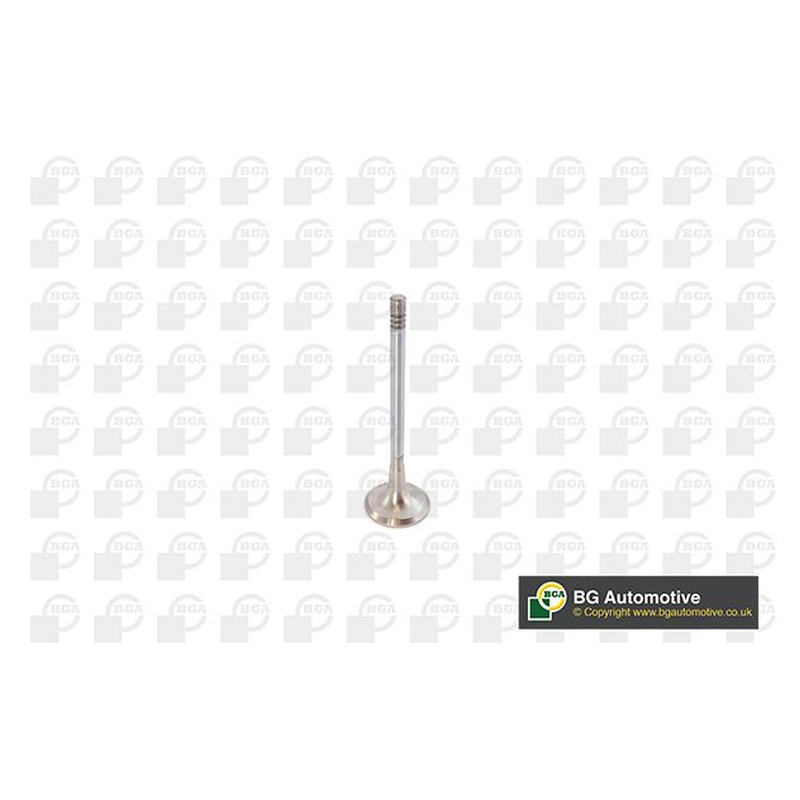 BGA Exhaust Valve V142050