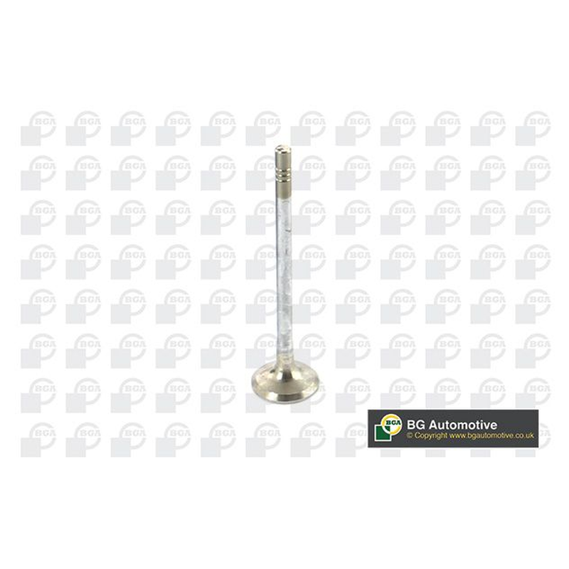 BGA Exhaust Valve V149482