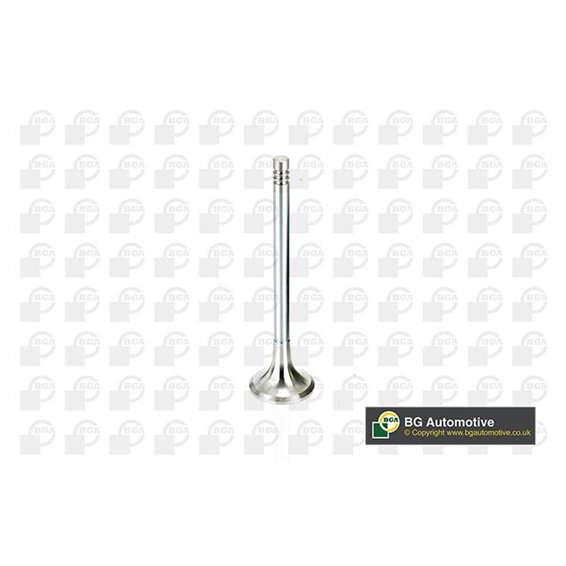 BGA Exhaust Valve V165961