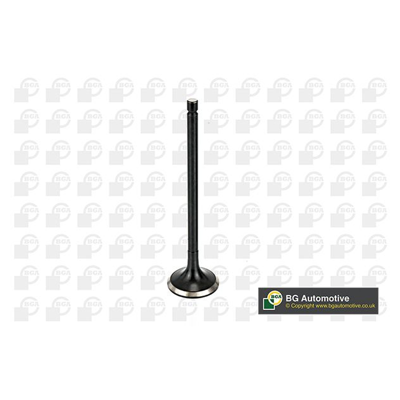 BGA Exhaust Valve V166041