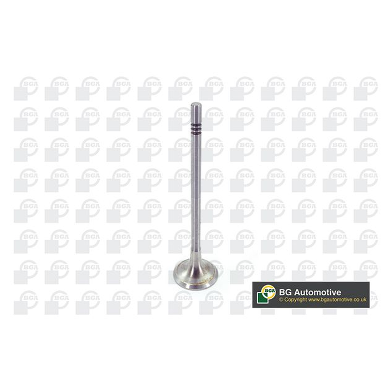 BGA Exhaust Valve V200611