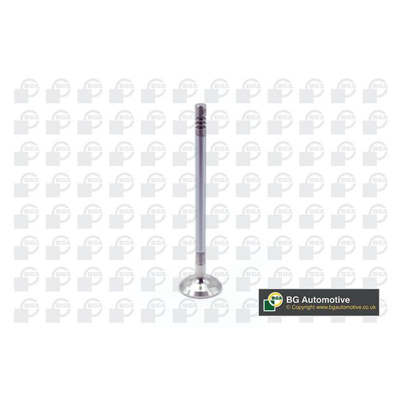 BGA Exhaust Valve V203633