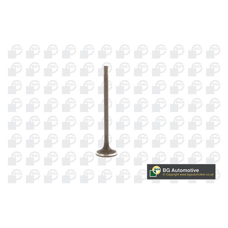 BGA Exhaust Valve V230711