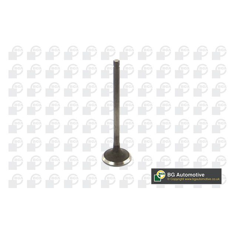 BGA Exhaust Valve V254712