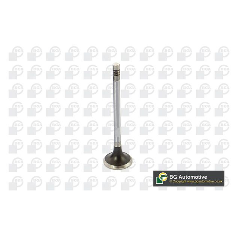 BGA Exhaust Valve V424832