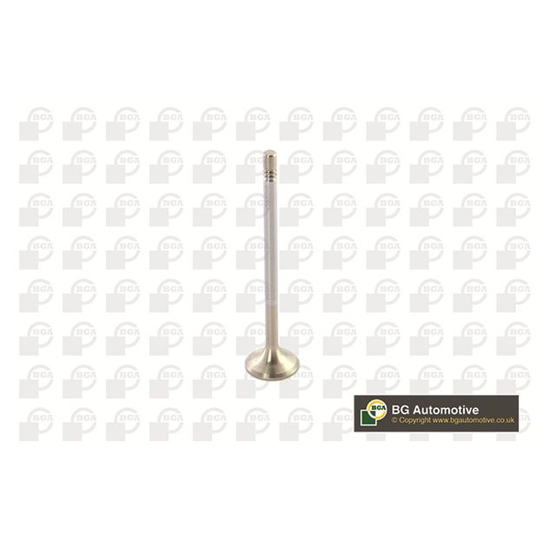 BGA Exhaust Valve V560010