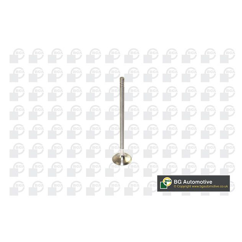 BGA Exhaust Valve V591702