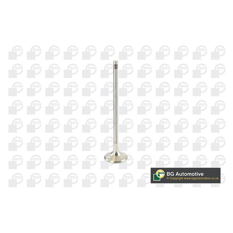 BGA Exhaust Valve V969602