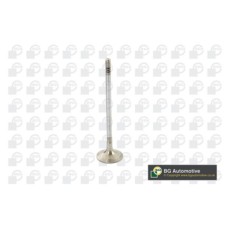 BGA Exhaust Valve V969611