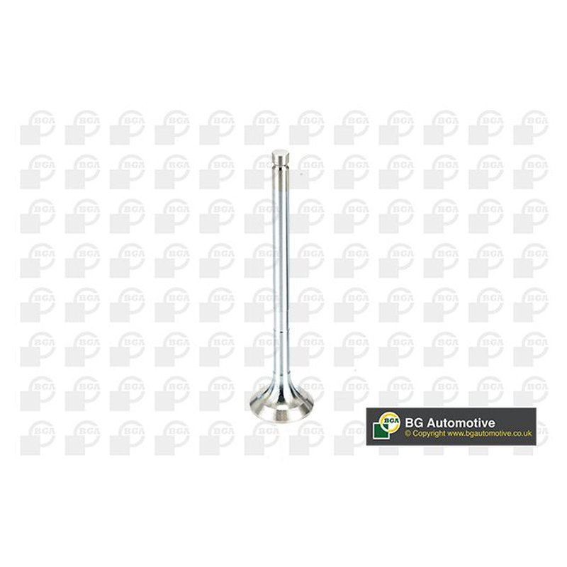 BGA Exhaust Valve V991909