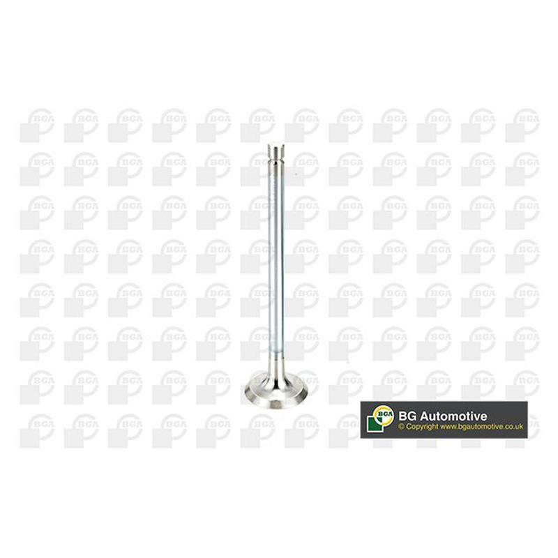 BGA Exhaust Valve V998717