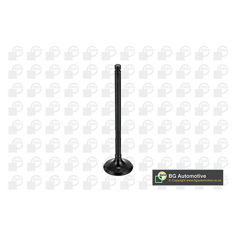 BGA Exhaust Valve V998746