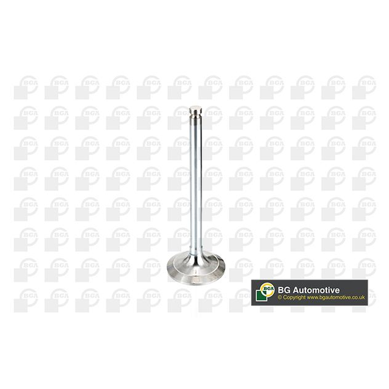 BGA Intake Valve Inlet V017062