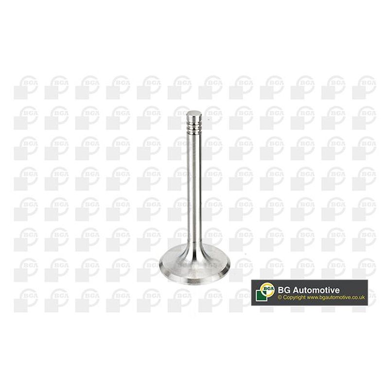 BGA Intake Valve Inlet V033313