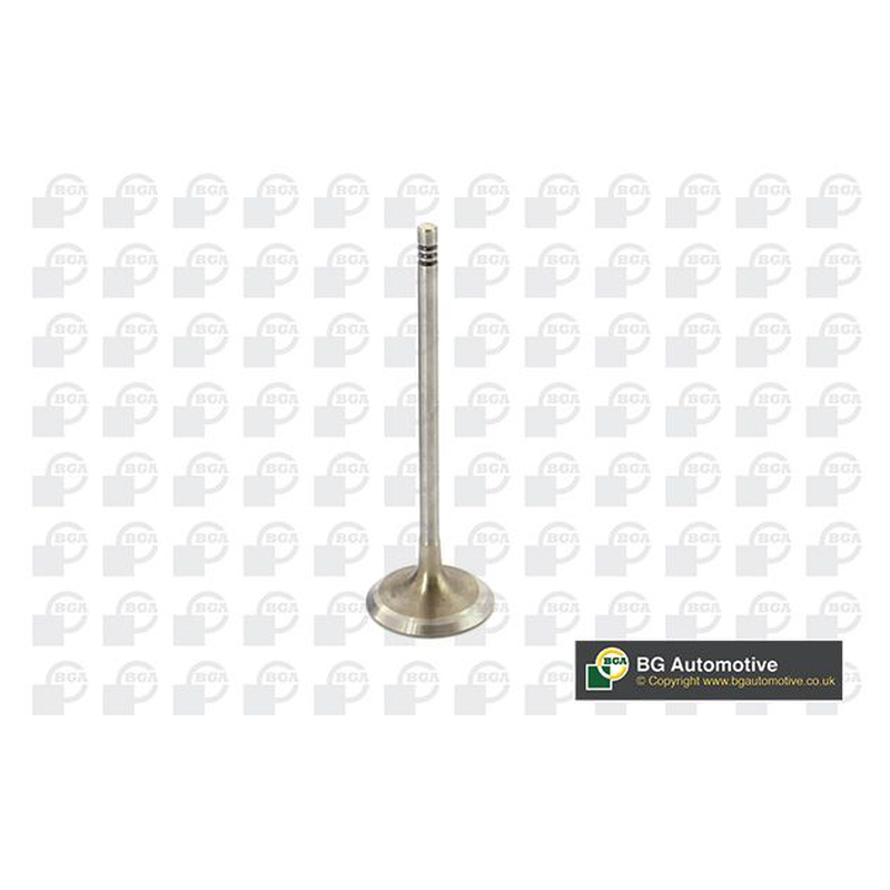 BGA Intake Valve Inlet V090102
