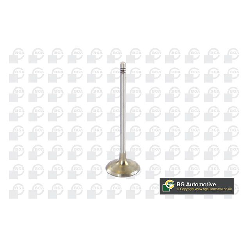 BGA Intake Valve Inlet V090104