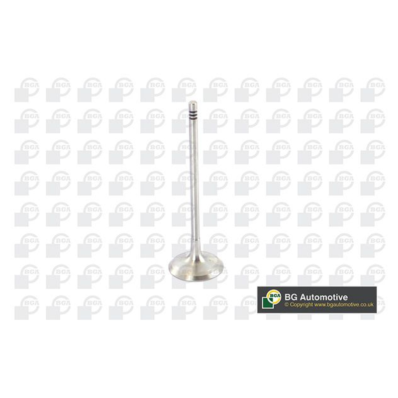 BGA Intake Valve Inlet V090105