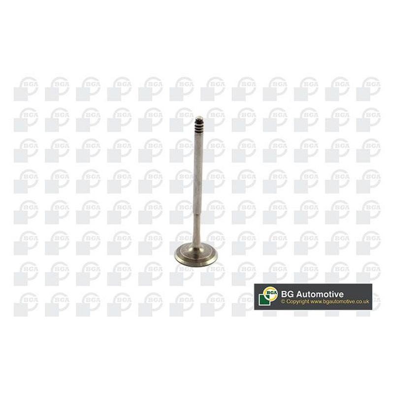 BGA Intake Valve Inlet V090108