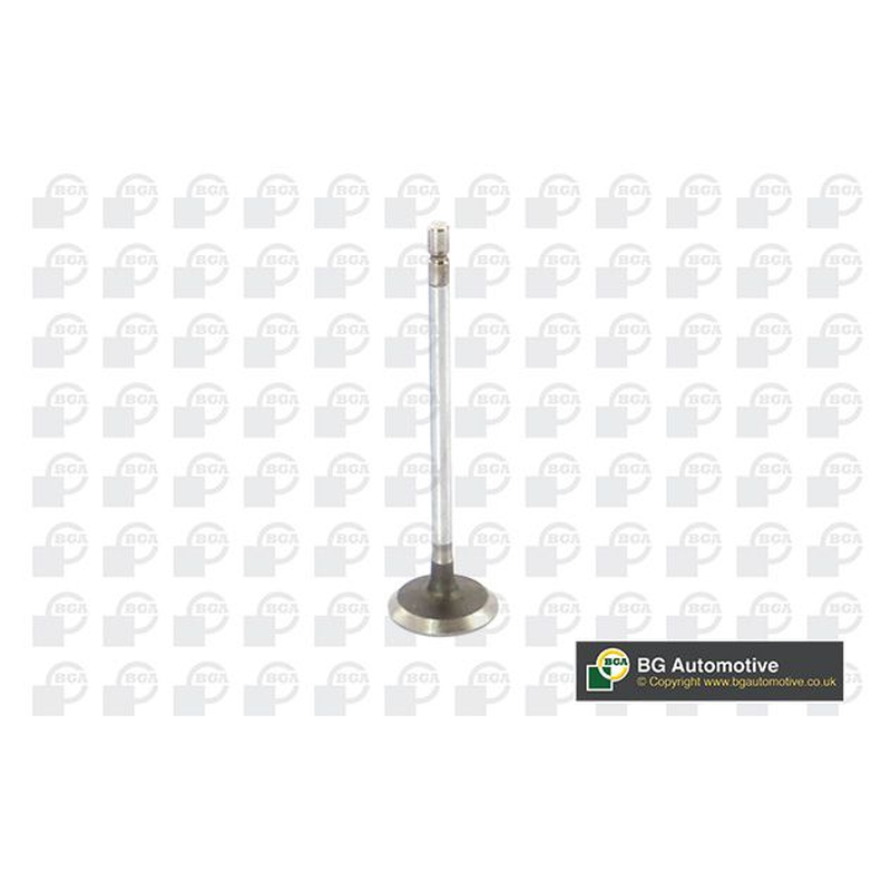 BGA Intake Valve Inlet V123002