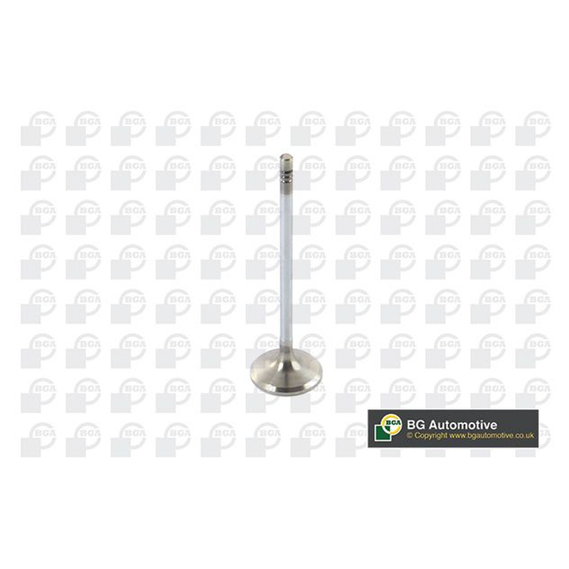 BGA Intake Valve Inlet V123821