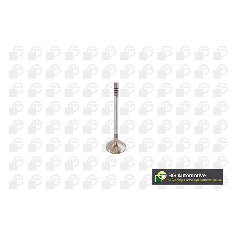 BGA Intake Valve Inlet V142049