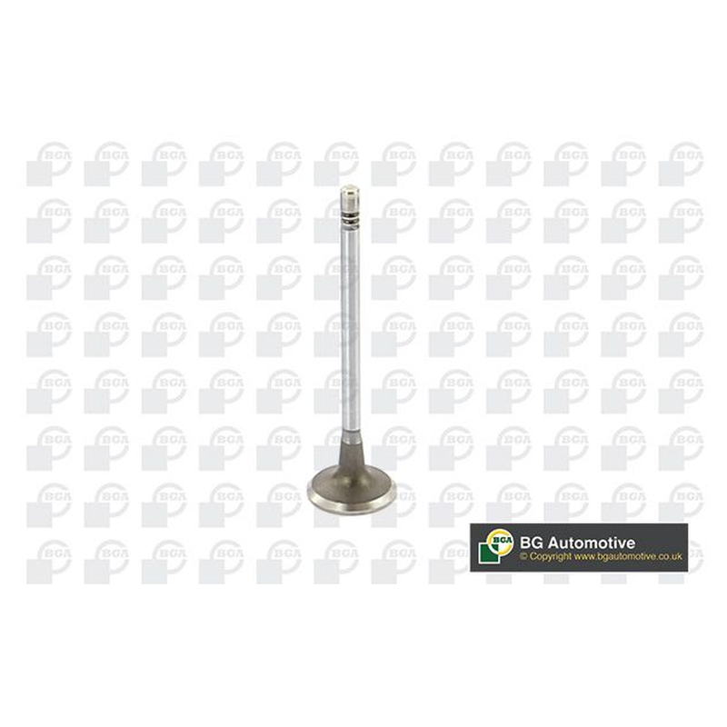 BGA Intake Valve Inlet V149481