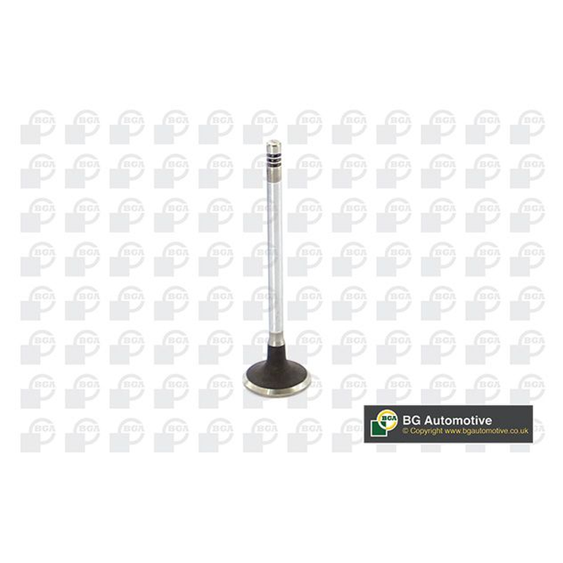BGA Intake Valve Inlet V149486