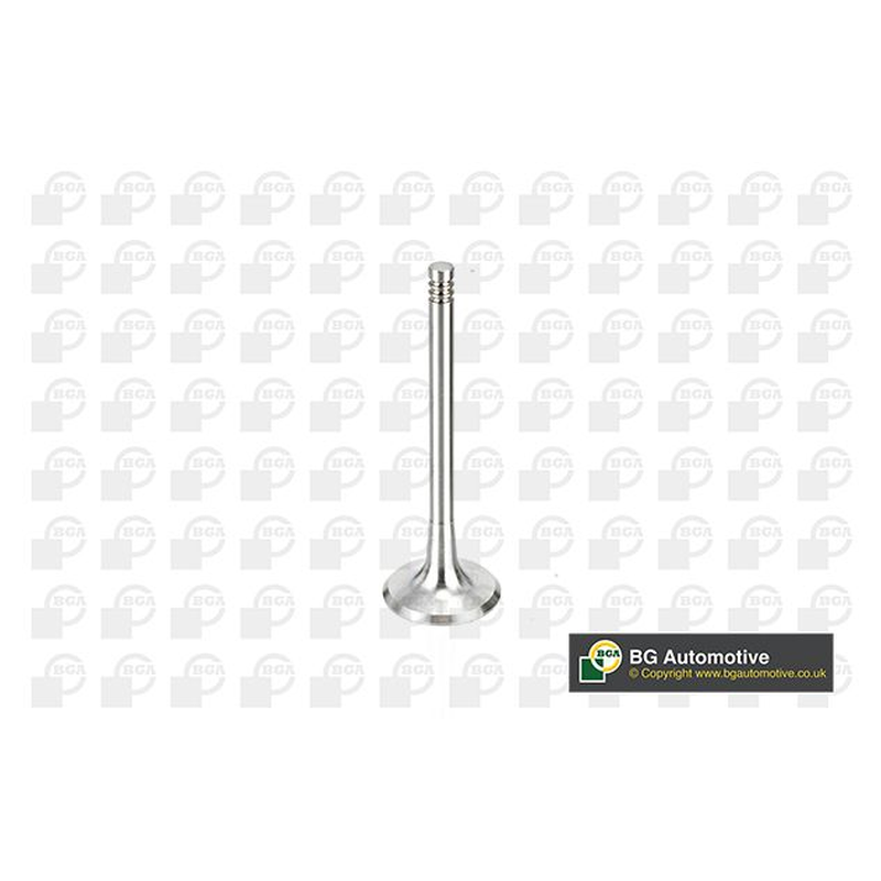 BGA Intake Valve Inlet V163720