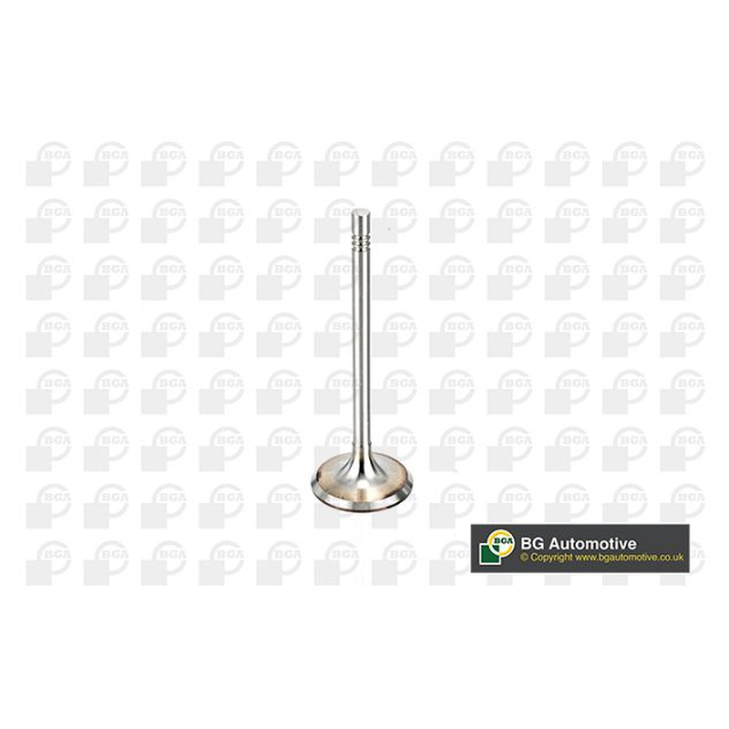 BGA Intake Valve Inlet V164520