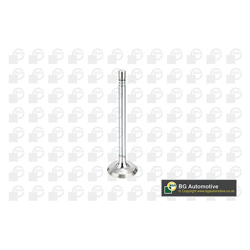 BGA Intake Valve Inlet V164660