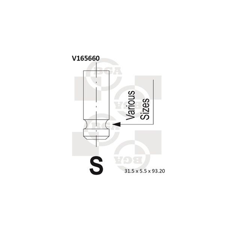 BGA Intake Valve Inlet V165660