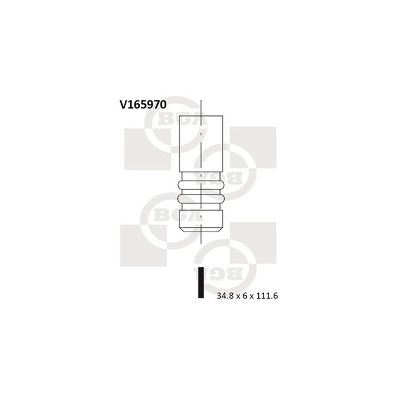 BGA Intake Valve Inlet V165970