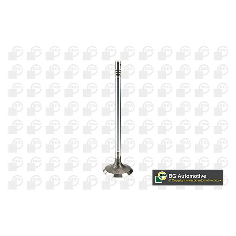BGA Intake Valve Inlet V200001