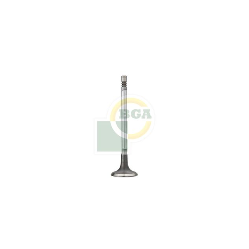 BGA Intake Valve Inlet V200002