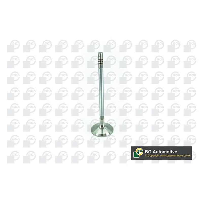 BGA Intake Valve Inlet V200074