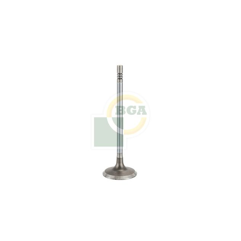 BGA Intake Valve Inlet V200263