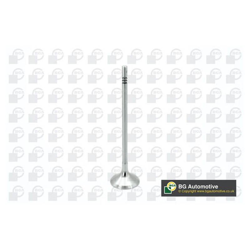 BGA Intake Valve Inlet V200610