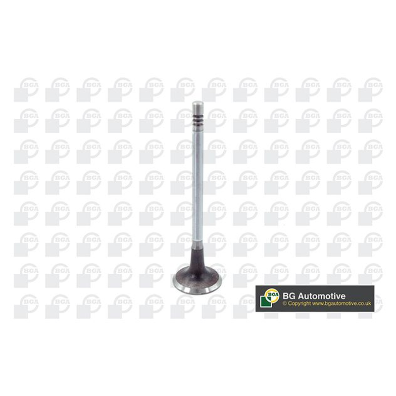BGA Intake Valve Inlet V203632