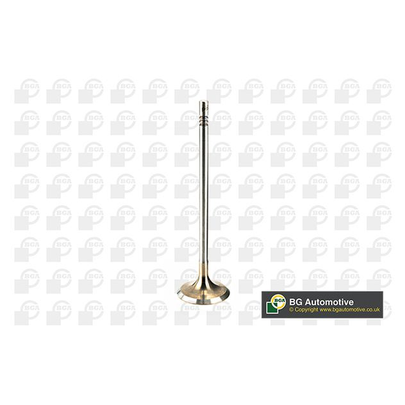 BGA Intake Valve Inlet V205096
