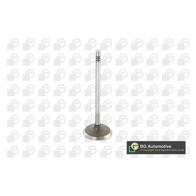 BGA Intake Valve Inlet V229666