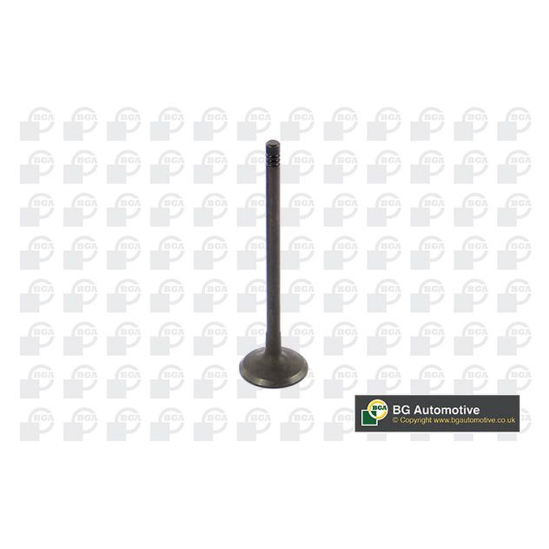 BGA Intake Valve Inlet V362211