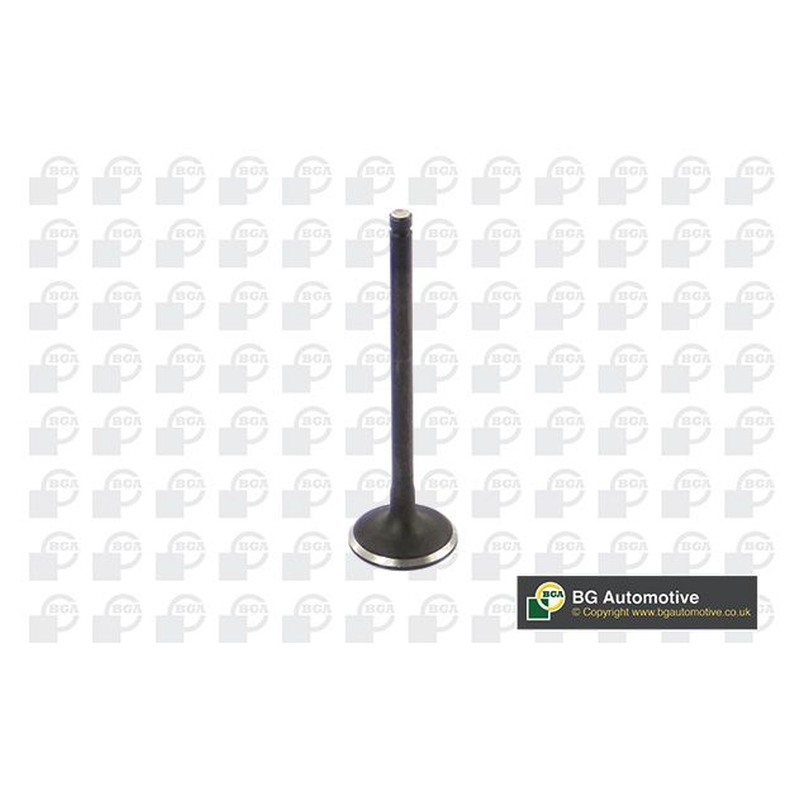 BGA Intake Valve Inlet V362214