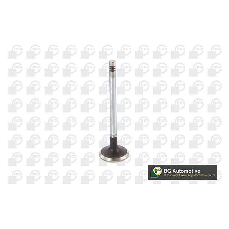 BGA Intake Valve Inlet V424831