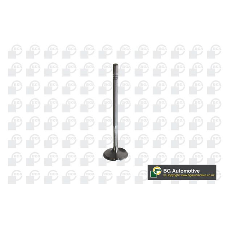 BGA Intake Valve Inlet V560013