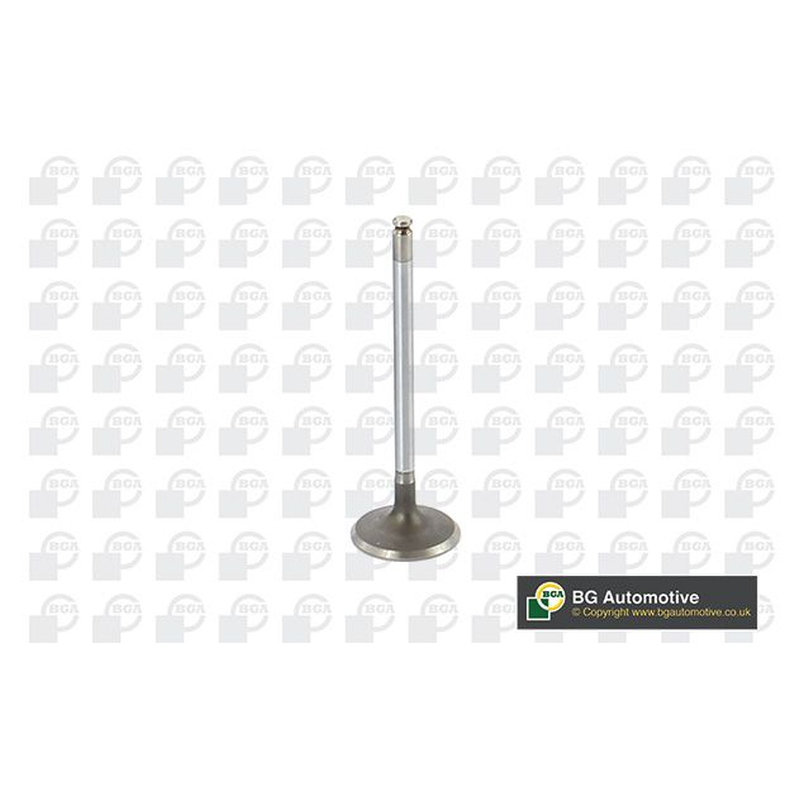BGA Intake Valve Inlet V560201