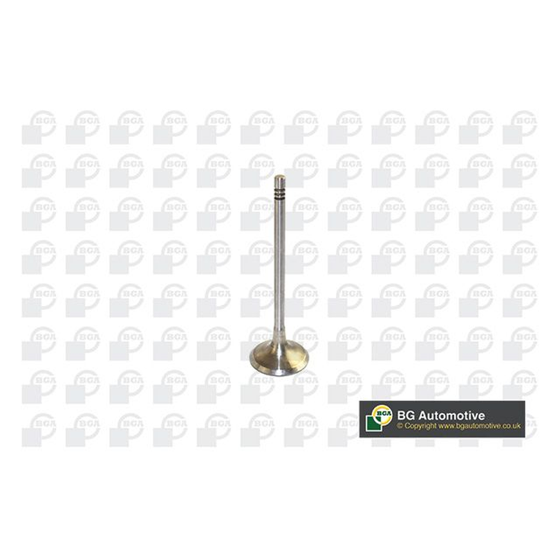 BGA Intake Valve Inlet V591701