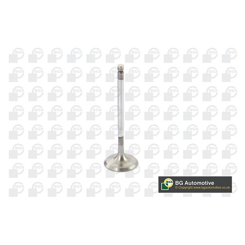 BGA Intake Valve Inlet V851291