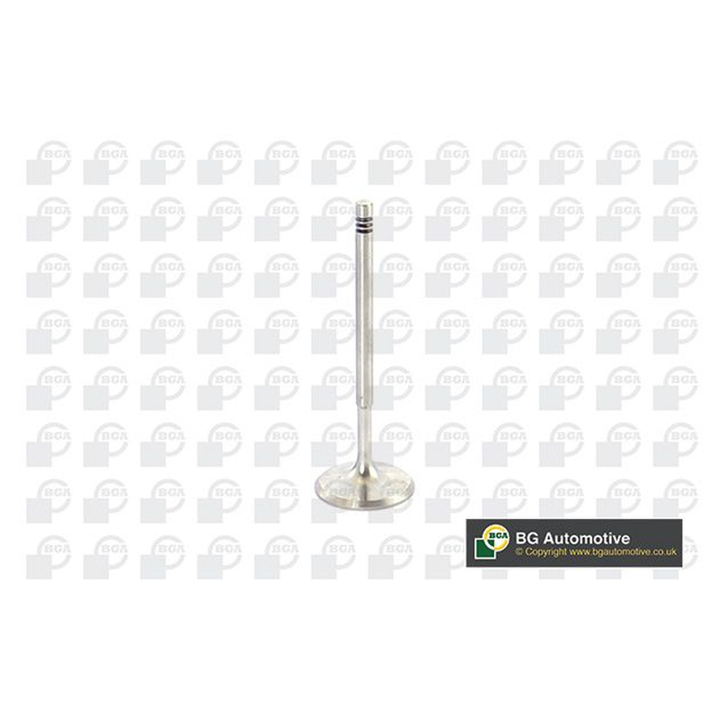 BGA Intake Valve Inlet V960221