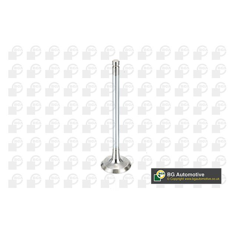 BGA Intake Valve Inlet V991908