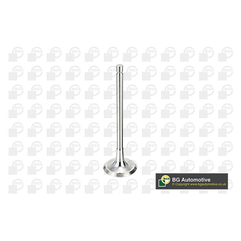 BGA Intake Valve Inlet V998716